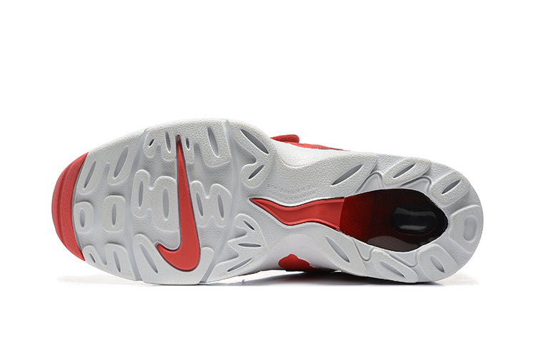 Air DT Max 96