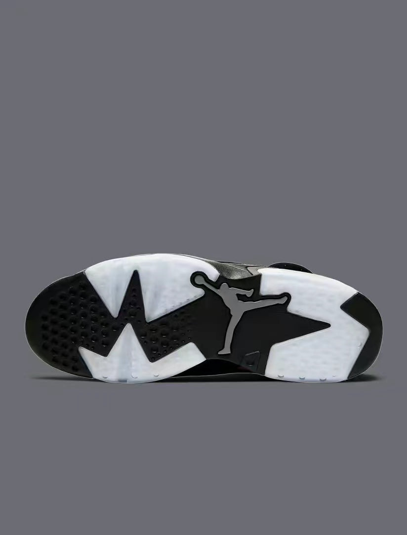Air jordan 6