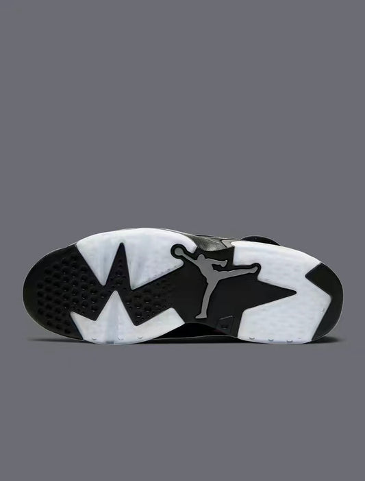 Air jordan 6