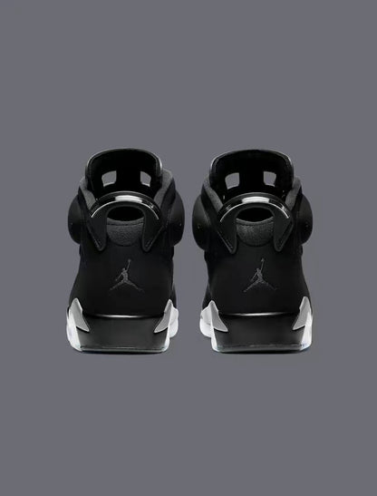 Air jordan 6